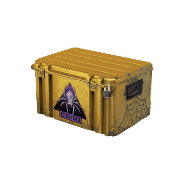 Shattered Web Case image