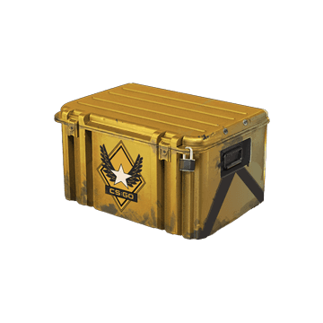 Winter Offensive Weapon Case image